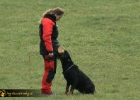 IMG 9928 copy